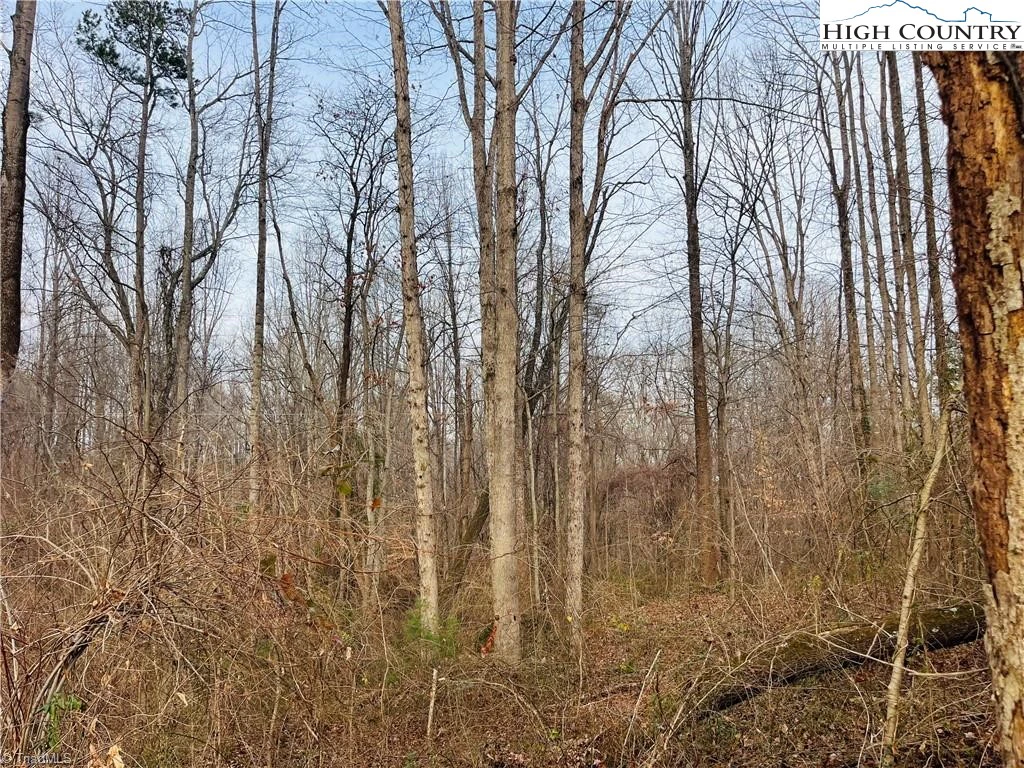 Image number 7 for the current listing