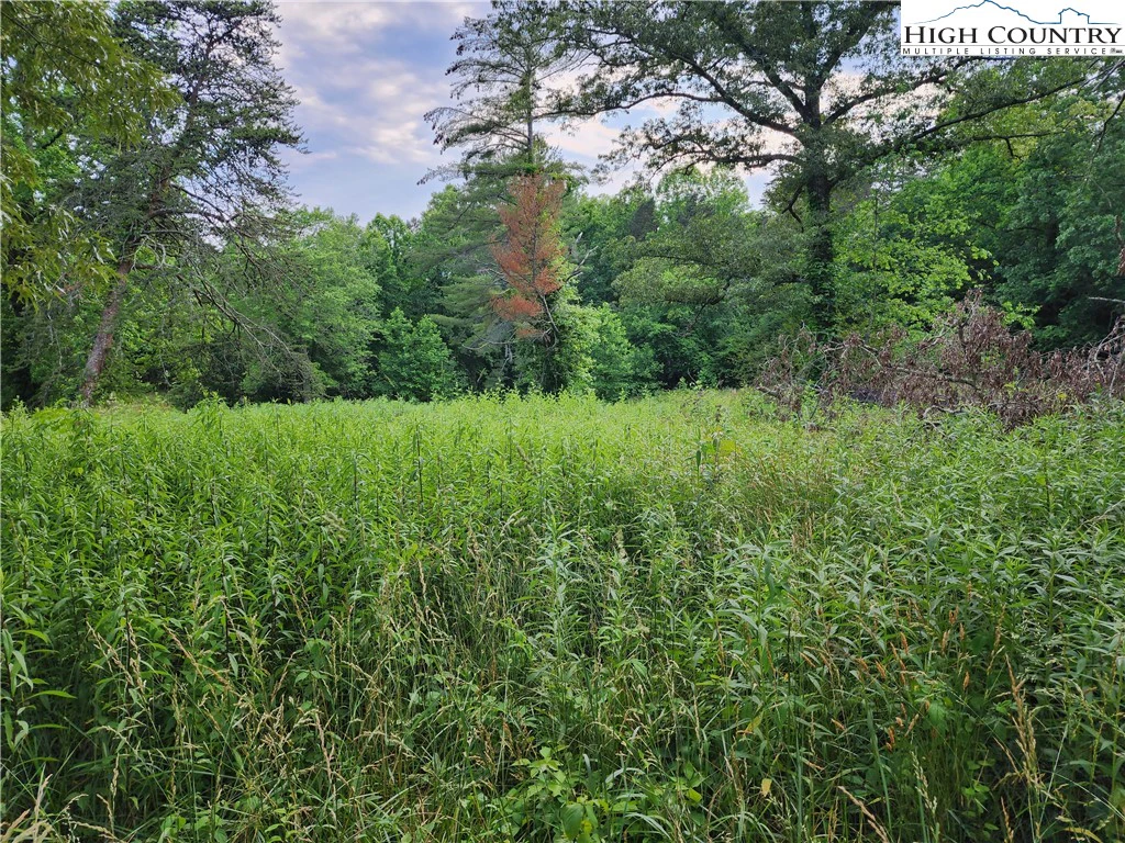 Image number 2 for the current listing
