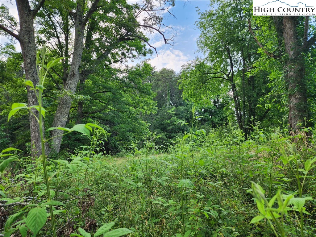Image number 12 for the current listing