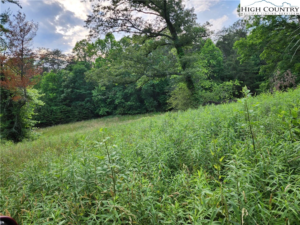 Image number 11 for the current listing