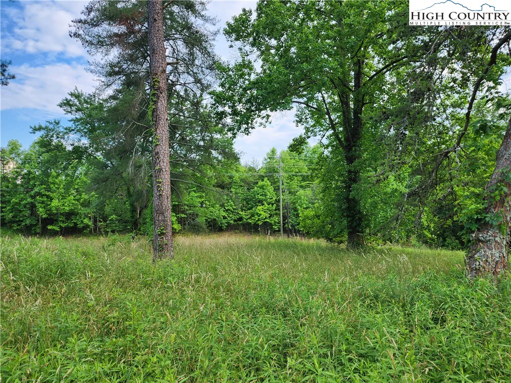 Image number 10 for the current listing