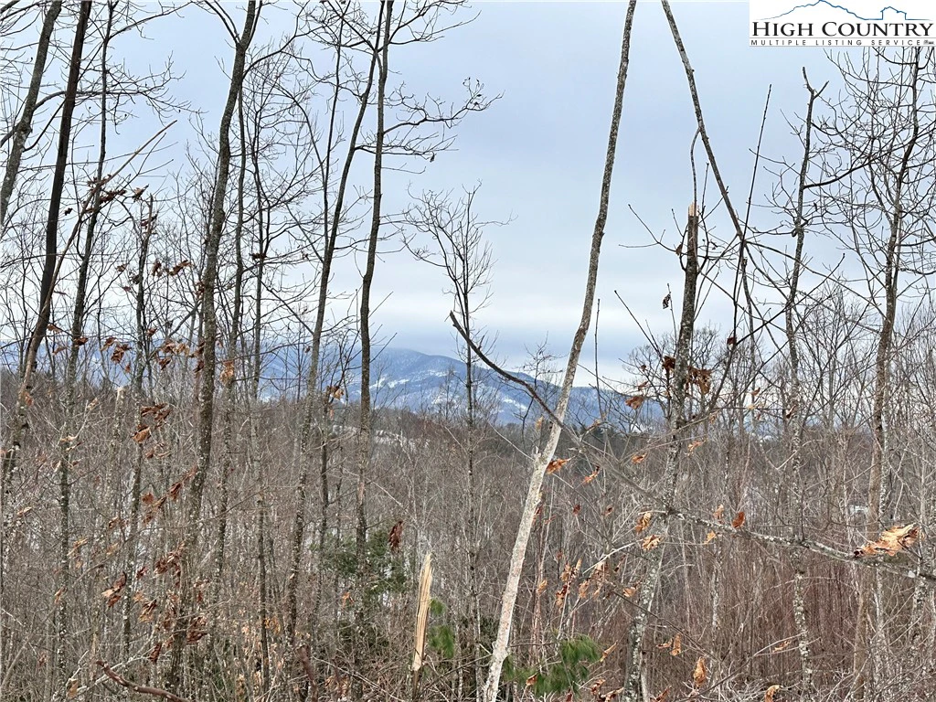 Image number 1 for the current listing