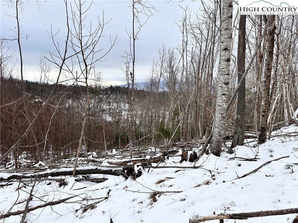 Image number 3 for the current listing
