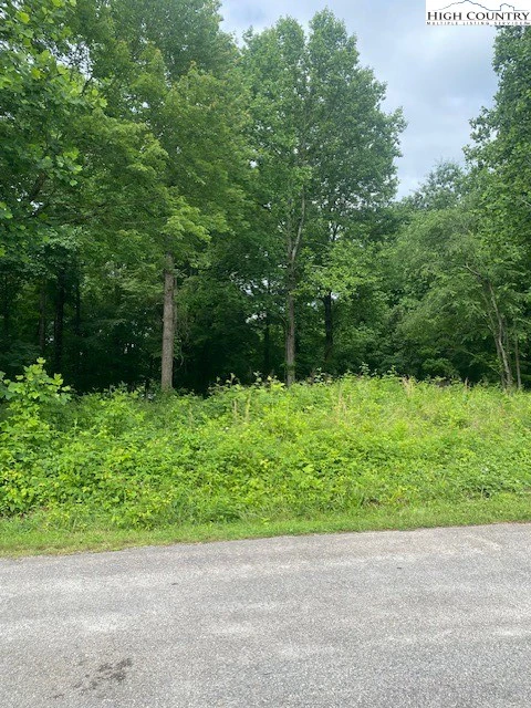 Image number 1 for the current listing