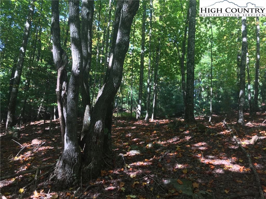 Image number 12 for the current listing