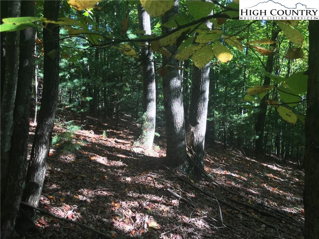 Image number 4 for the current listing