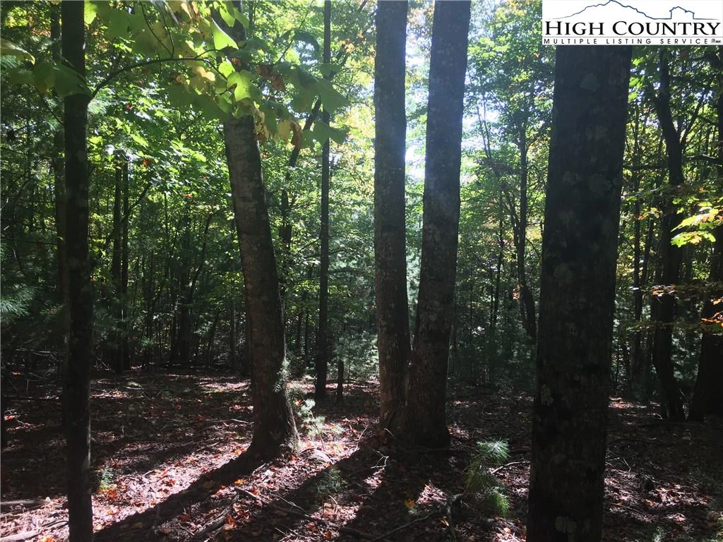 Image number 5 for the current listing