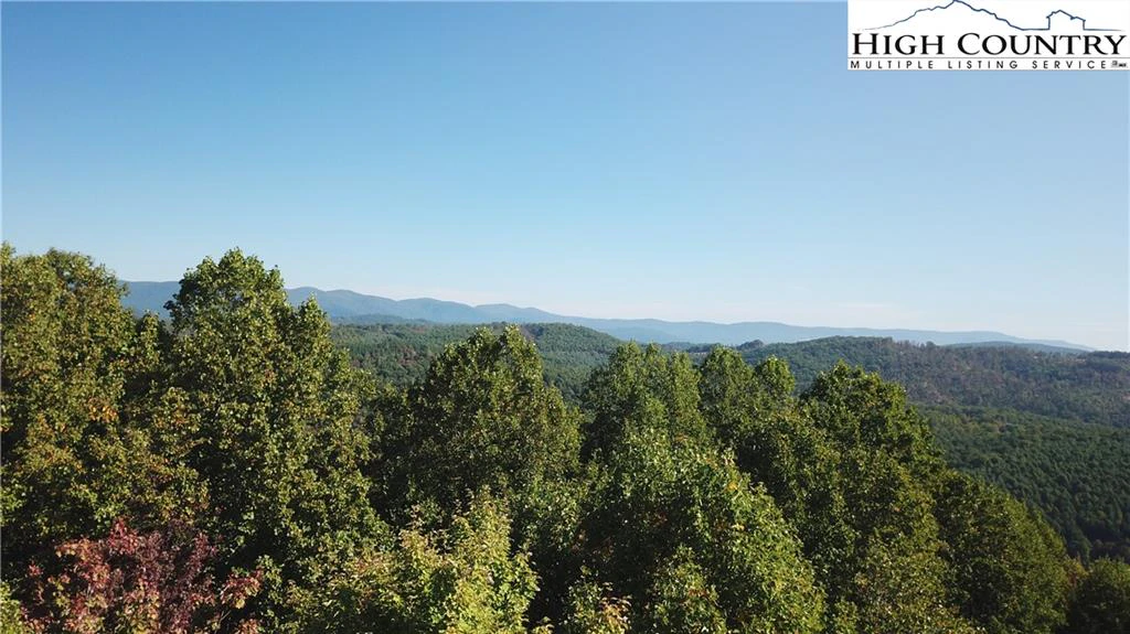 Image number 7 for the current listing