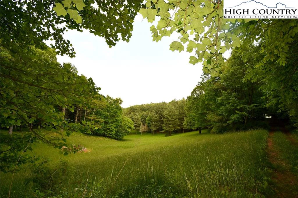Image number 1 for the current listing
