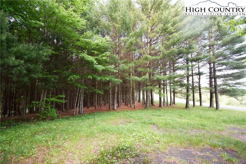Image number 12 for the current listing