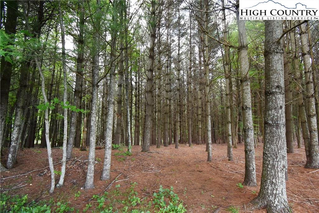 Image number 11 for the current listing