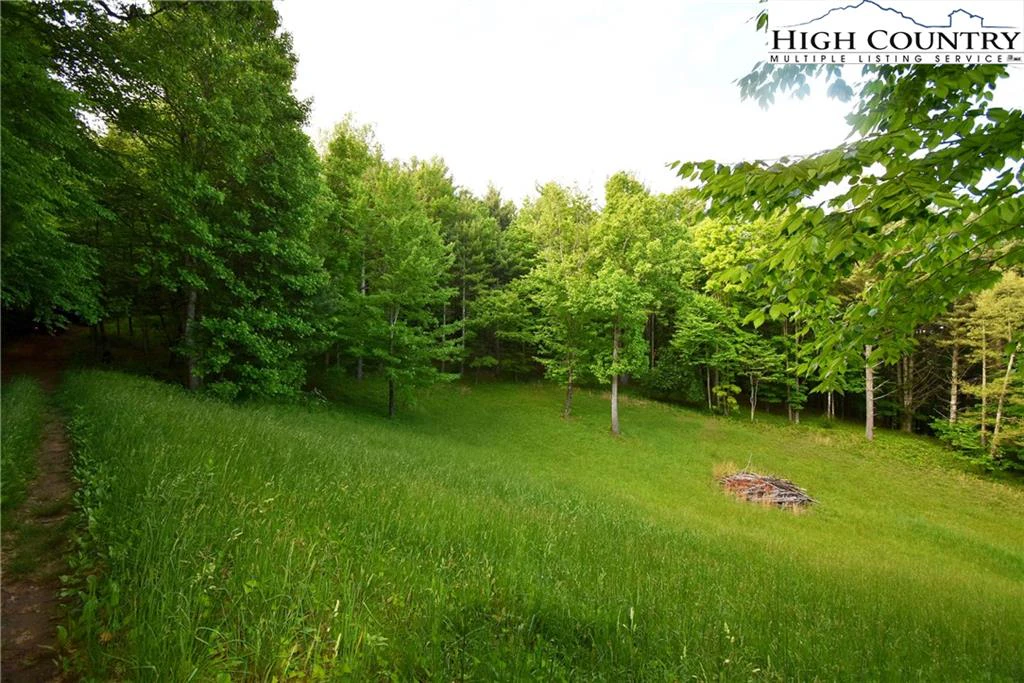 Image number 10 for the current listing