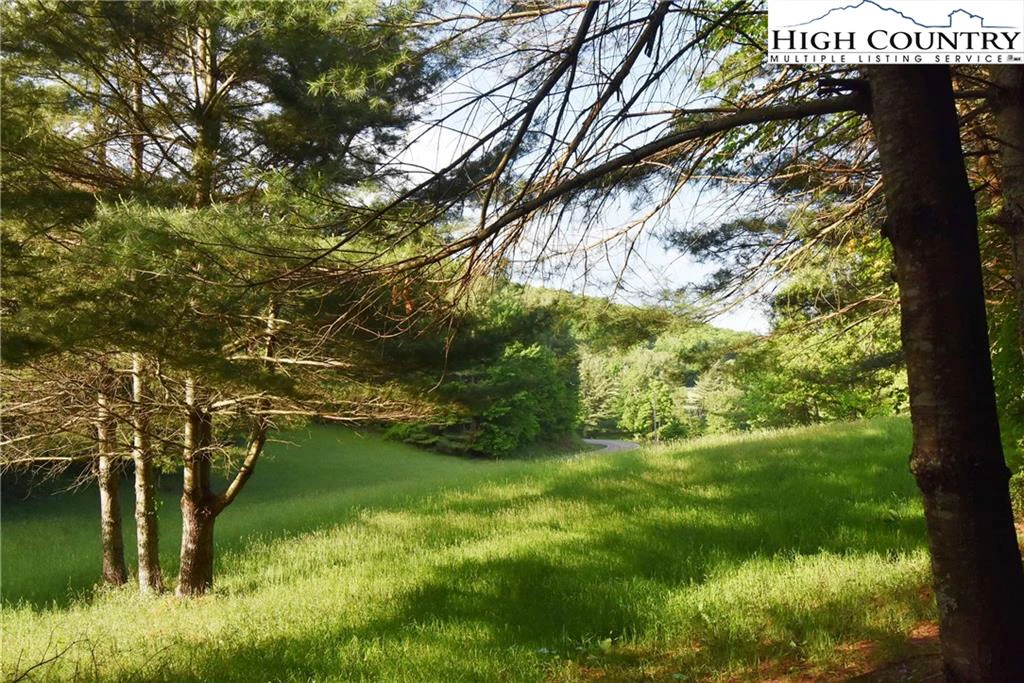 Image number 8 for the current listing