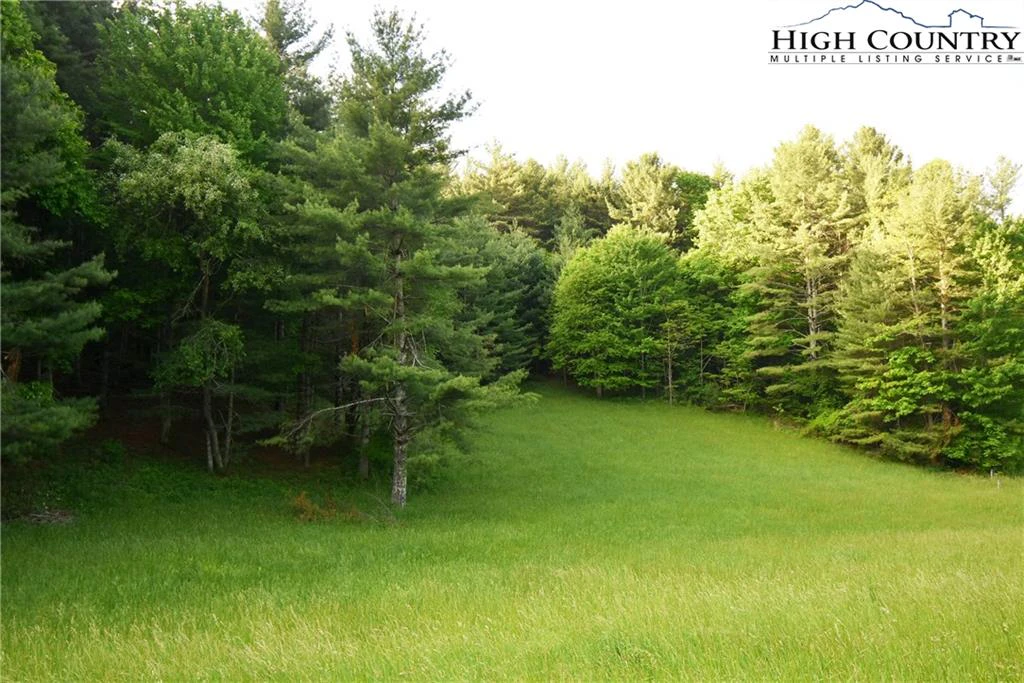 Image number 6 for the current listing