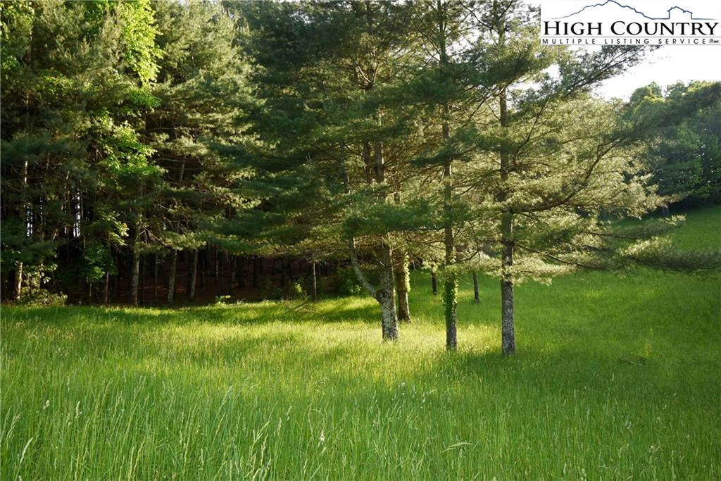 Image number 5 for the current listing