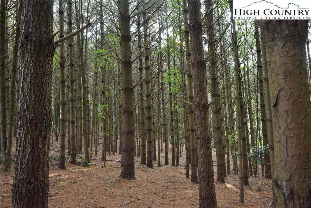 Image number 3 for the current listing