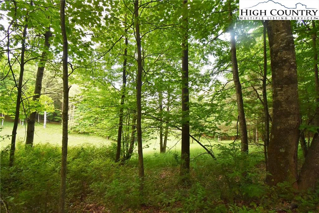 Image number 18 for the current listing