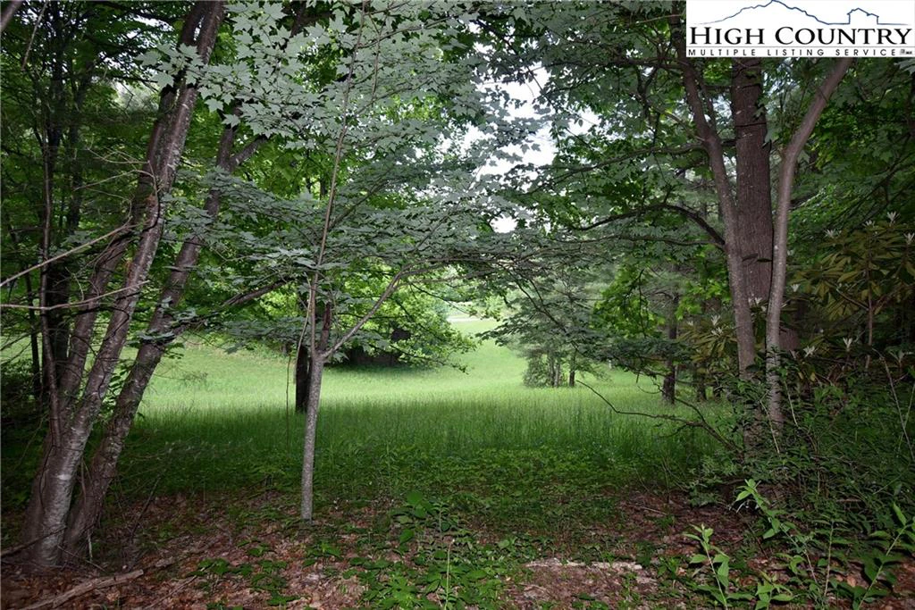 Image number 17 for the current listing