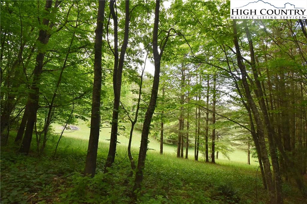Image number 16 for the current listing