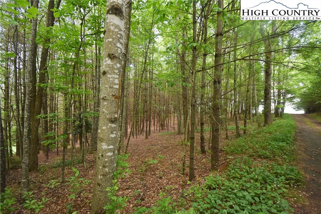 Image number 15 for the current listing