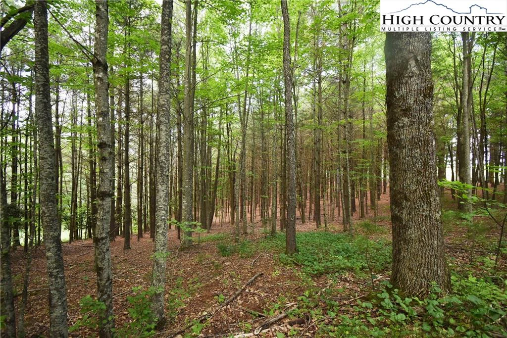 Image number 14 for the current listing