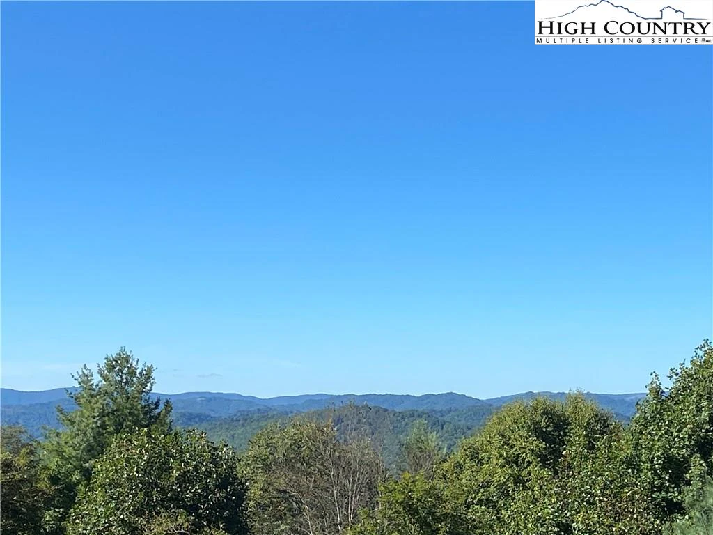 Image number 1 for the current listing