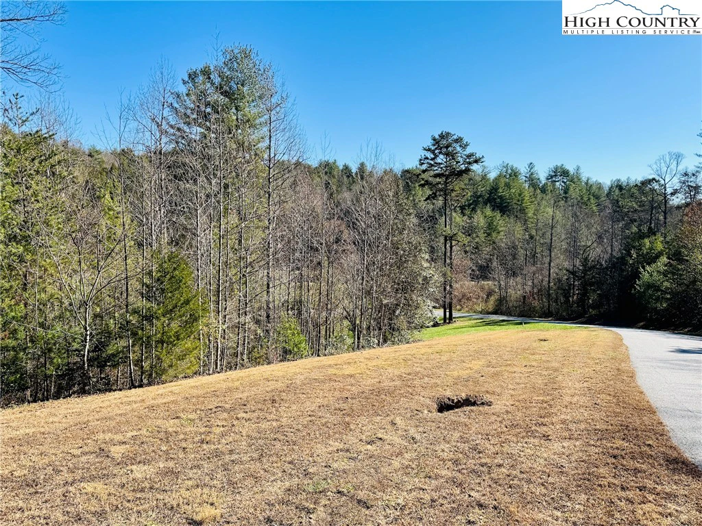 Image number 21 for the current listing