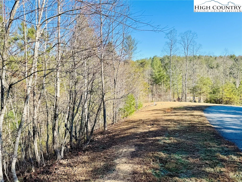 Image number 19 for the current listing