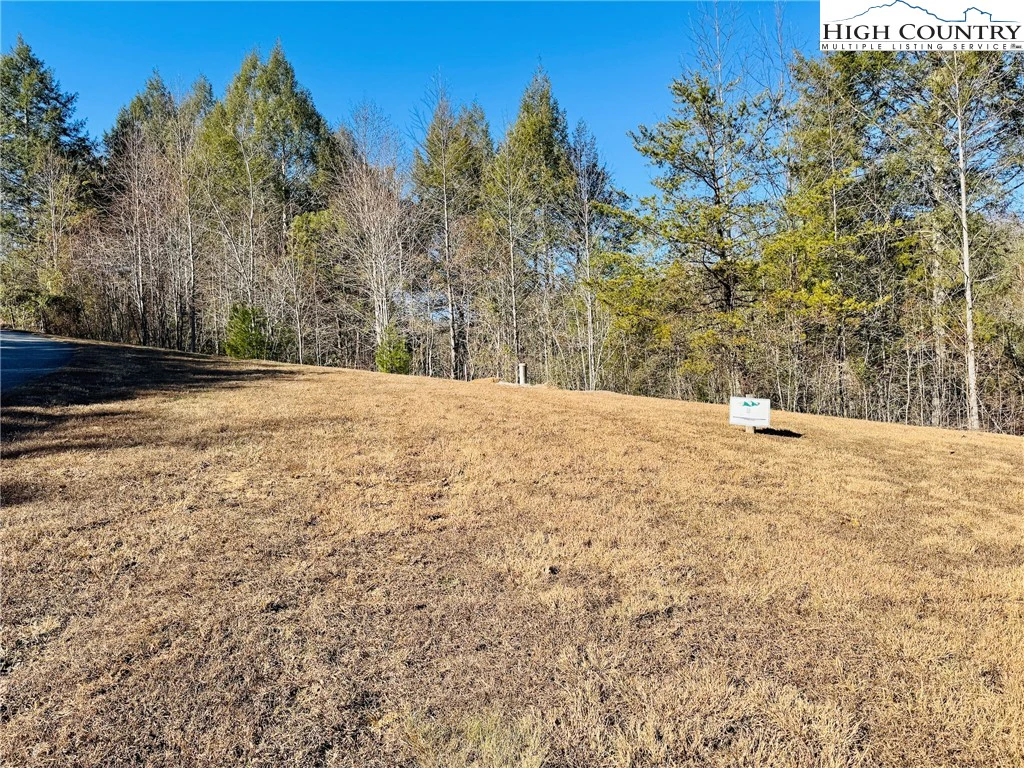 Image number 1 for the current listing