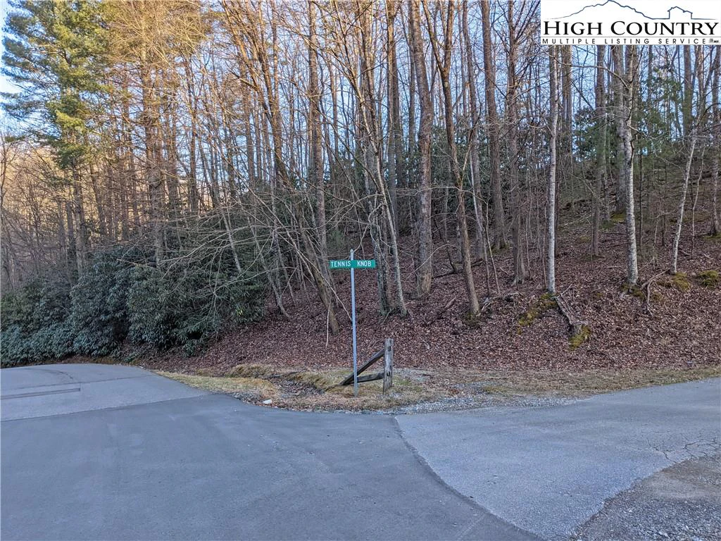Image number 1 for the current listing