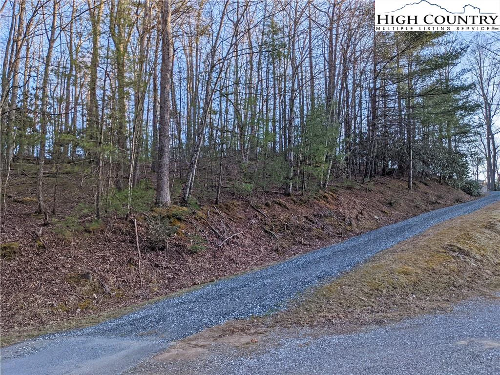 Image number 17 for the current listing