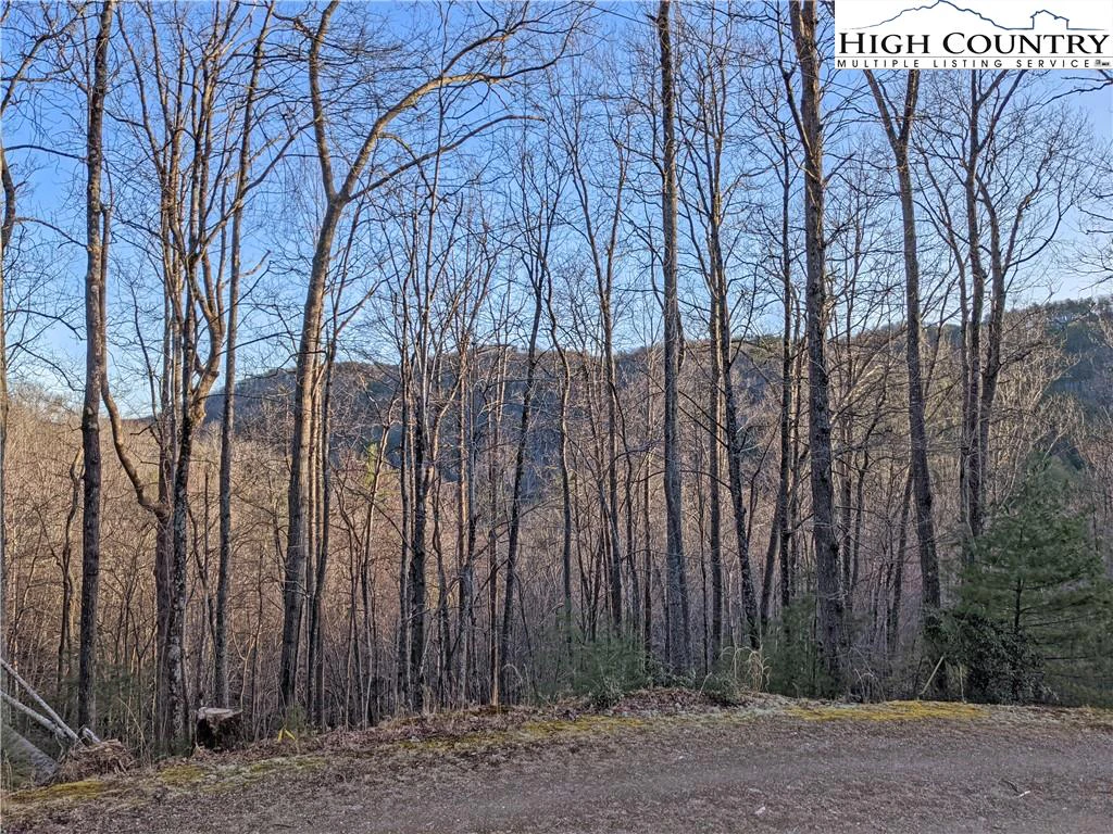 Image number 15 for the current listing
