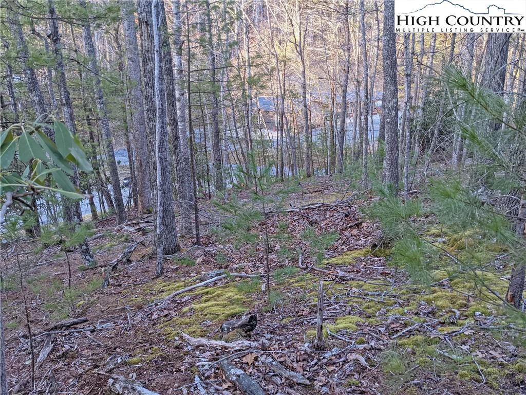 Image number 14 for the current listing