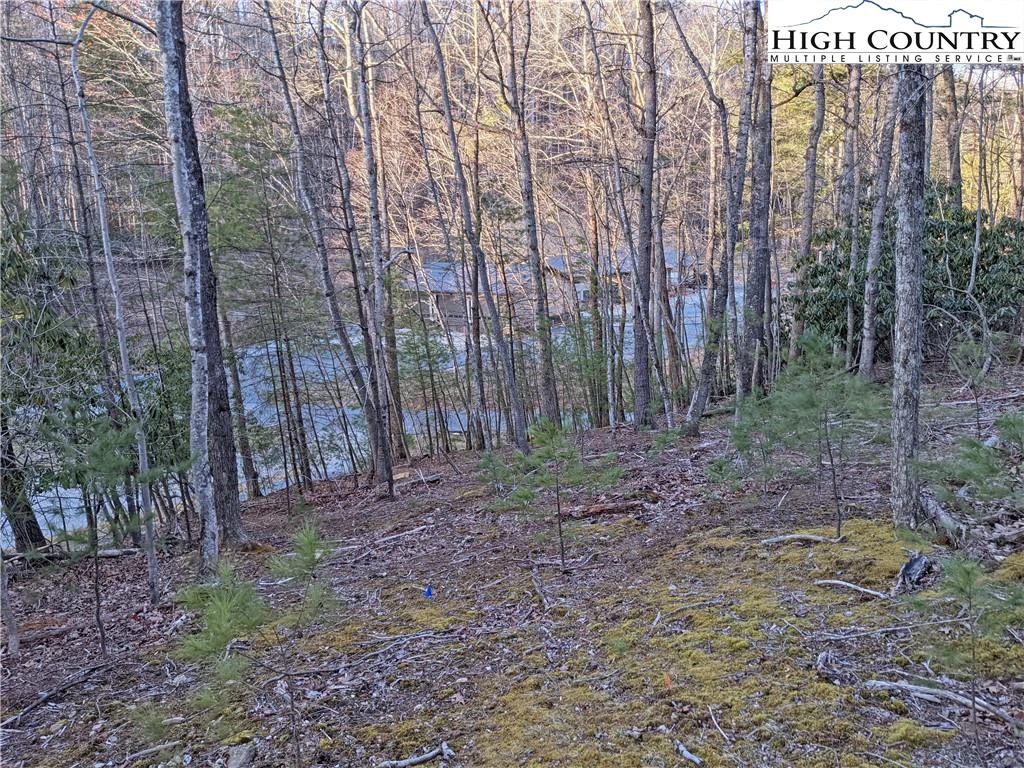 Image number 13 for the current listing