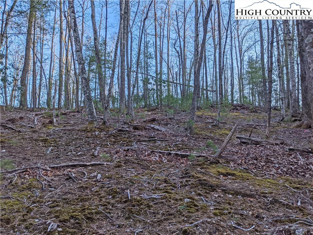 Image number 12 for the current listing