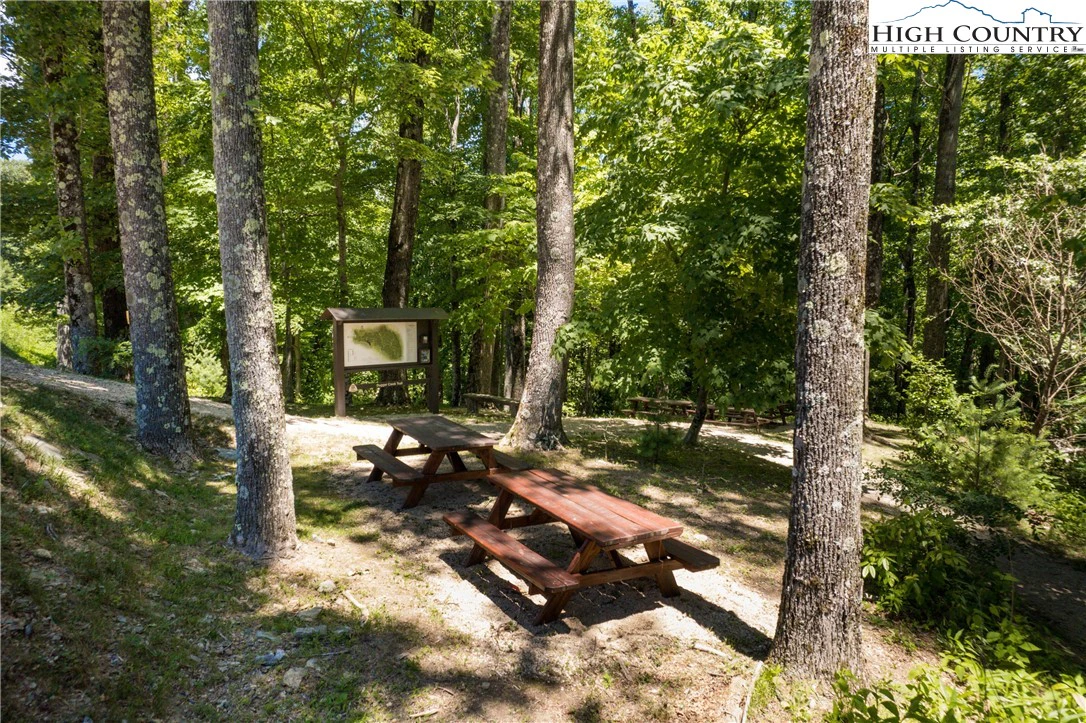 Image number 16 for the current listing