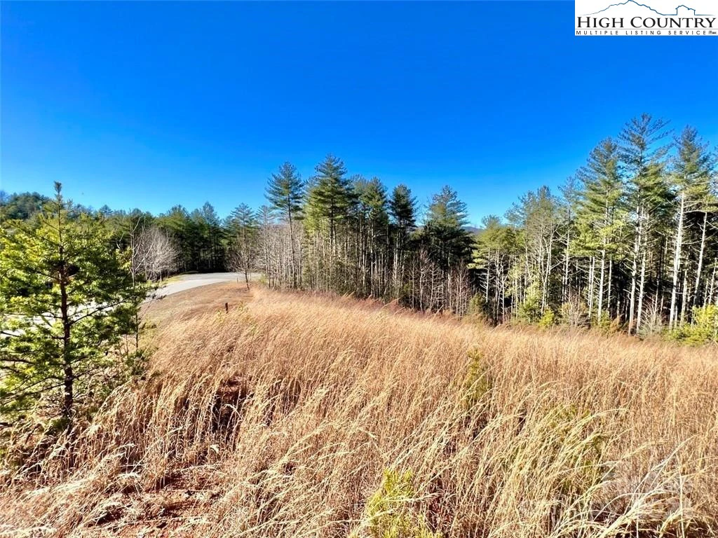 Image number 1 for the current listing