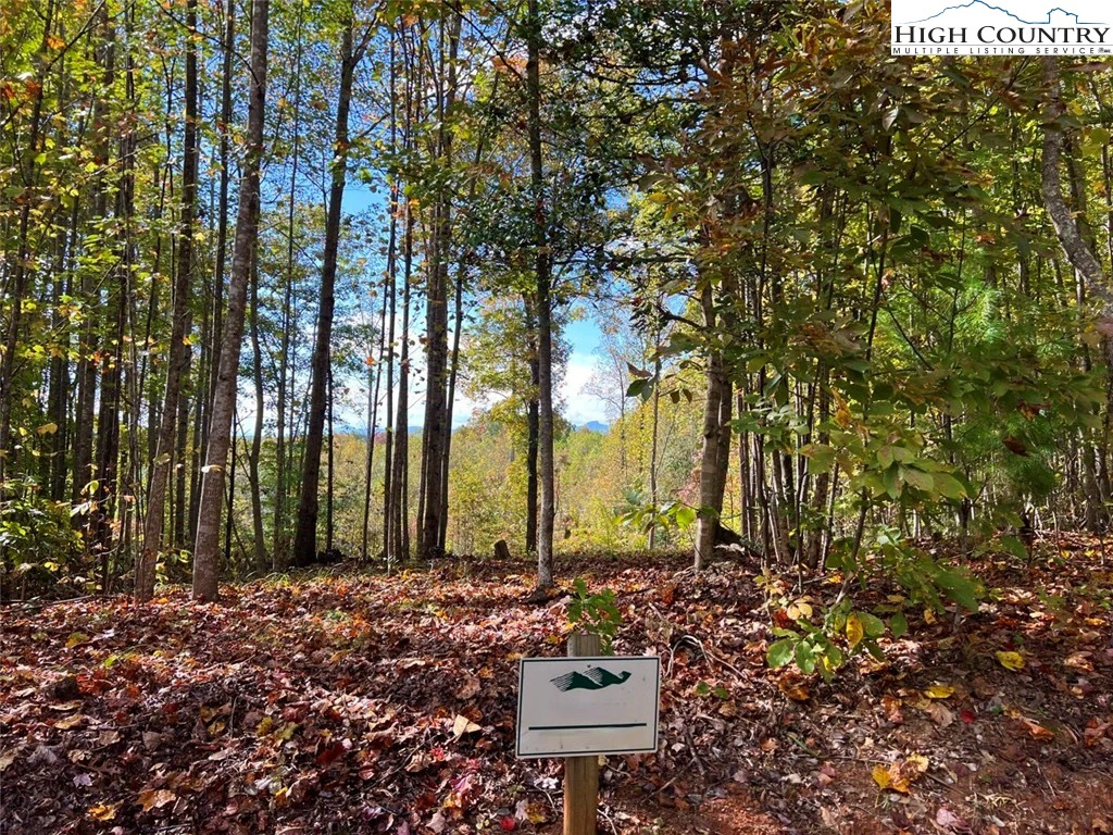 Image number 1 for the current listing