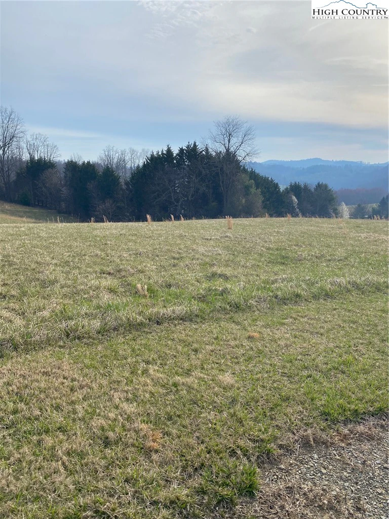 Image number 1 for the current listing