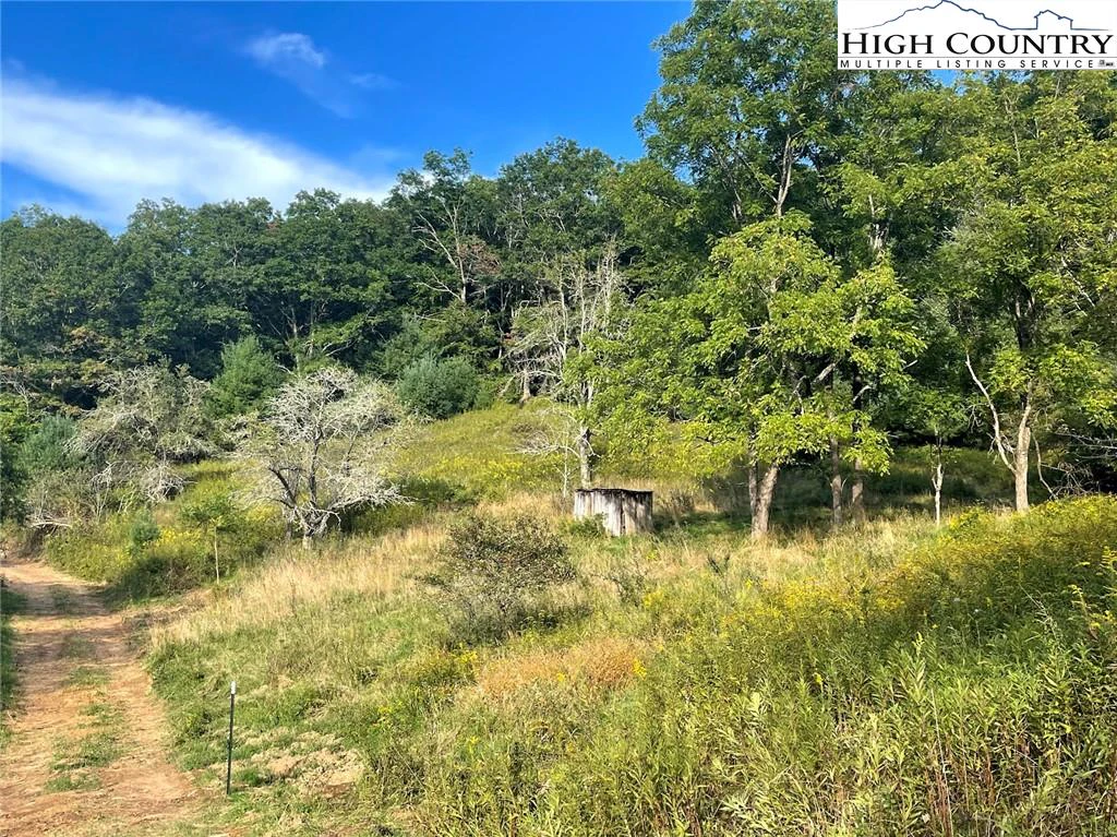 Image number 1 for the current listing