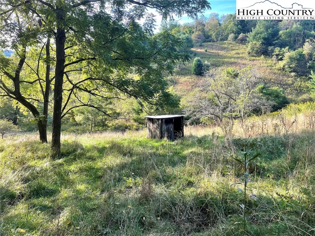 Image number 17 for the current listing