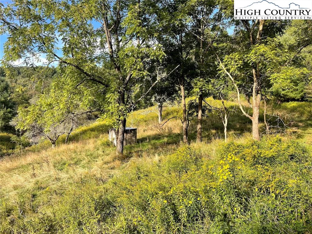 Image number 16 for the current listing