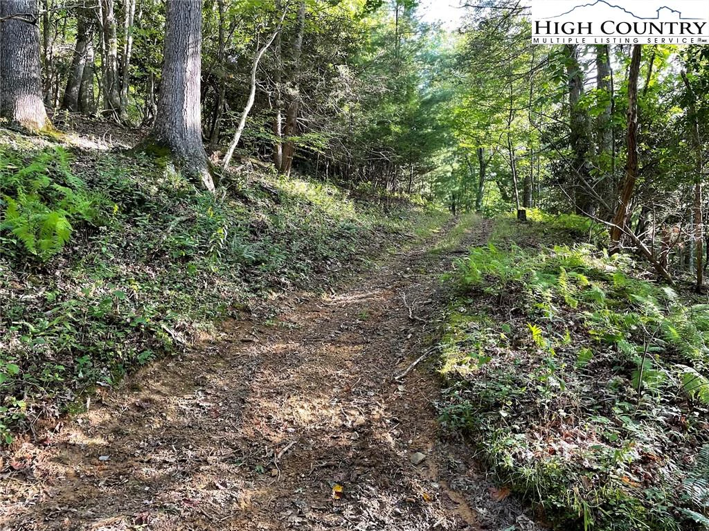 Image number 2 for the current listing