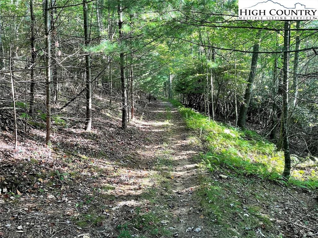 Image number 14 for the current listing