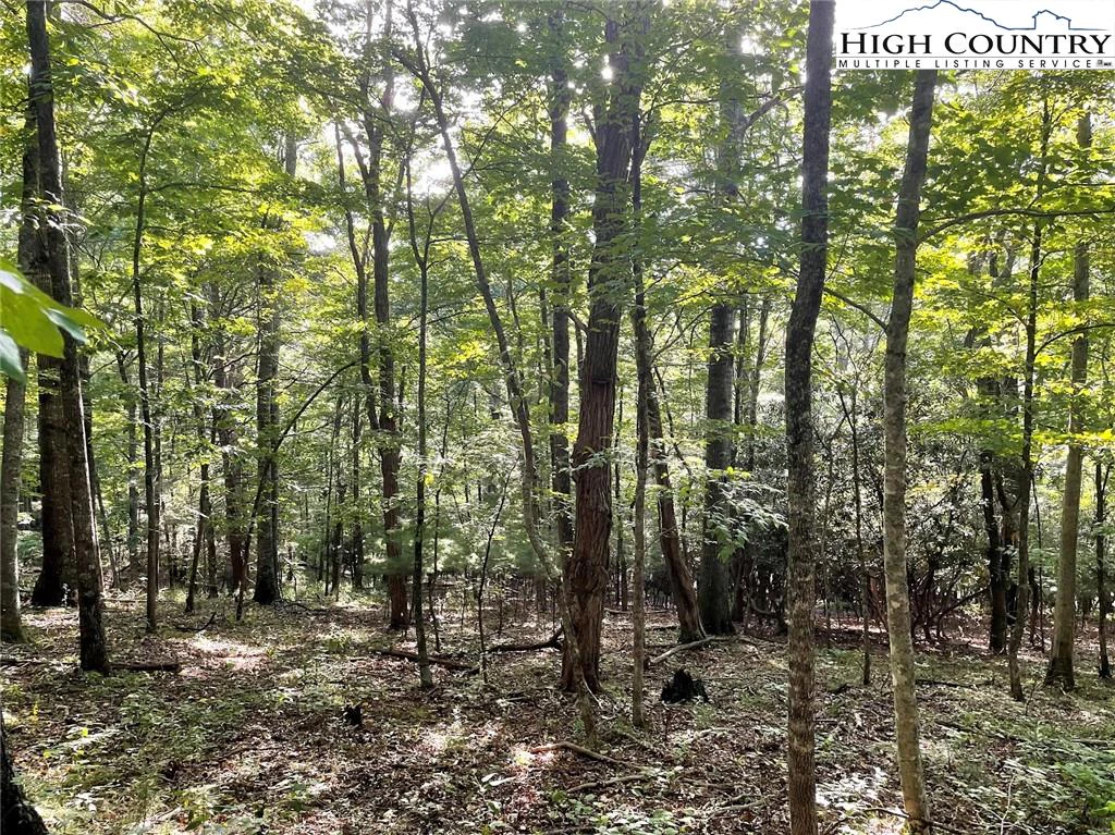 Image number 13 for the current listing