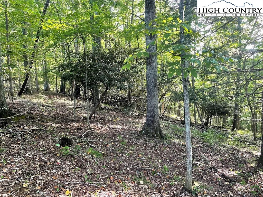 Image number 12 for the current listing