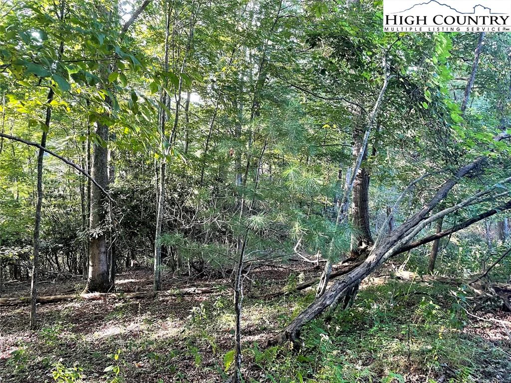 Image number 11 for the current listing