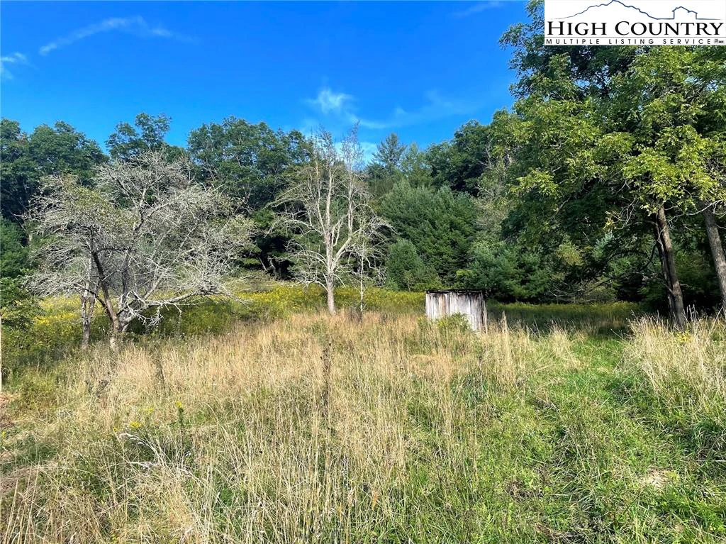 Image number 5 for the current listing