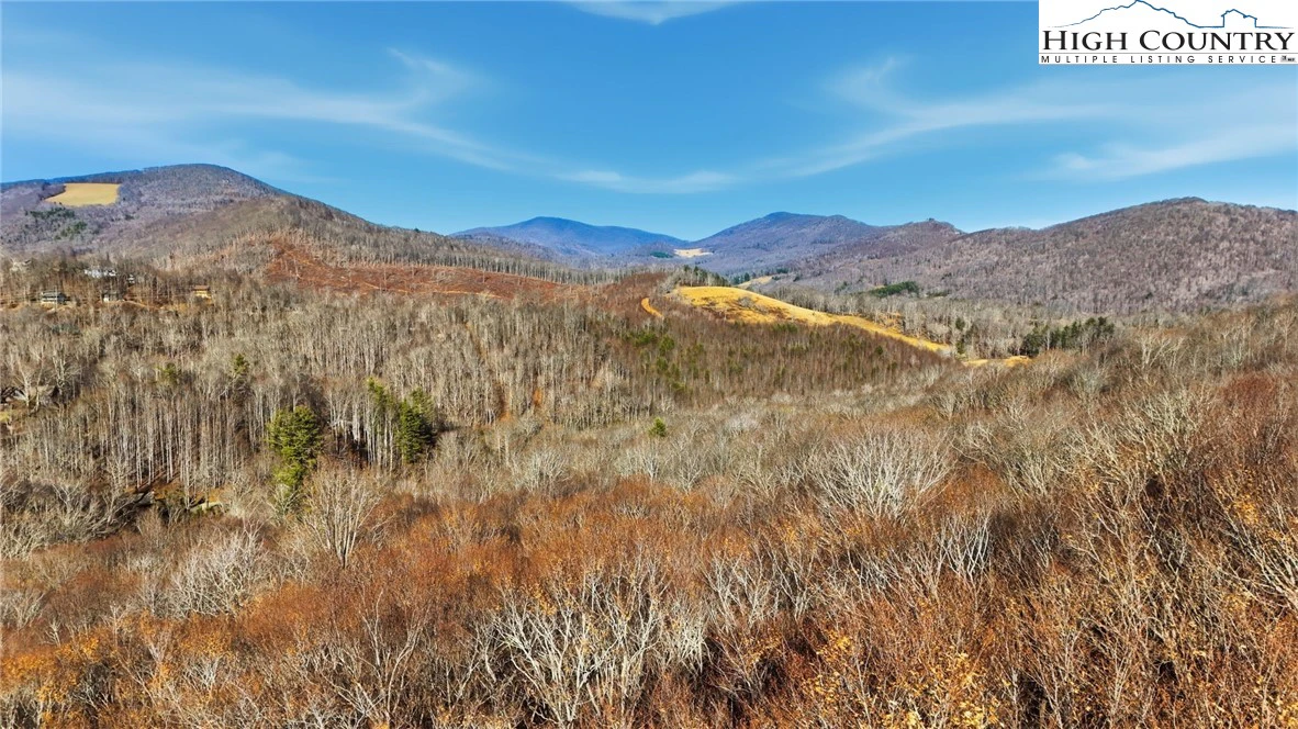 Image number 1 for the current listing