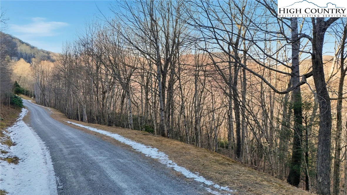 Image number 3 for the current listing